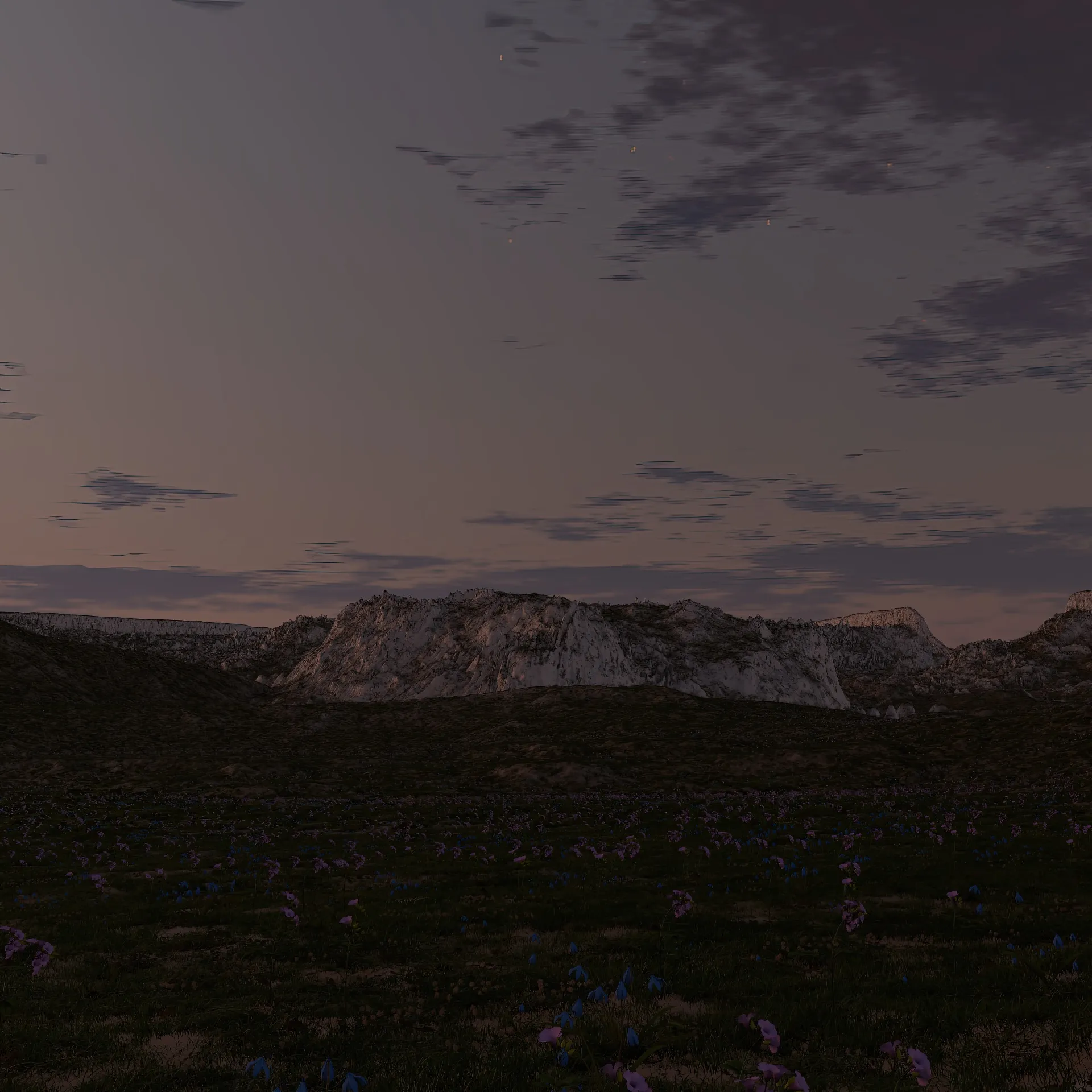 Flowers Field, environment detail